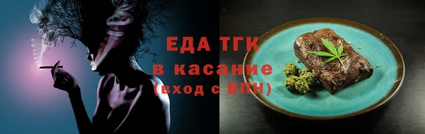 индика Карпинск