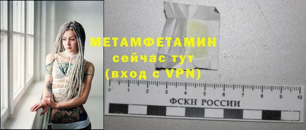 индика Карпинск