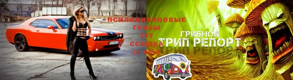 ПСИЛОЦИБИНОВЫЕ ГРИБЫ Абинск