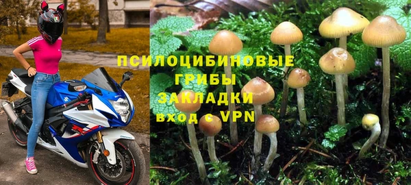 ПСИЛОЦИБИНОВЫЕ ГРИБЫ Абинск